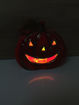 Picture of HALLOWEEN TERRACOTTA PUMPKIN WITH LED LIGHT